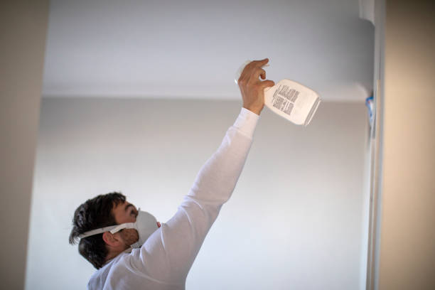 Best Fast Mold Removal  in Contra Costa Centre, CA