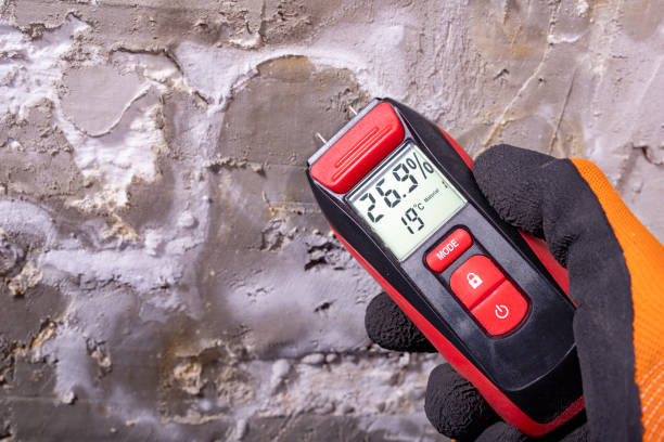 Best Same-Day Mold Removal  in Contra Costa Centre, CA